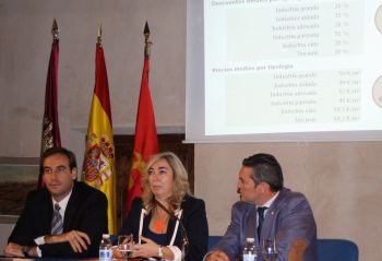 Nuevos precios en los parques empresariales de SEPES en Castilla-La Mancha